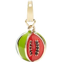 Charm Fossil Femme in Acier JF00685710